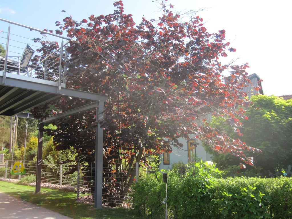 Apartment Haus Sembachtal Winterstein ภายนอก รูปภาพ