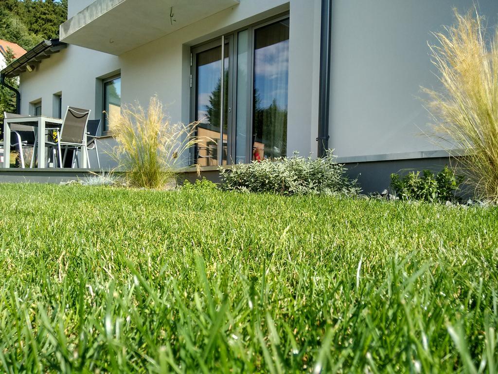 Apartment Haus Sembachtal Winterstein ภายนอก รูปภาพ